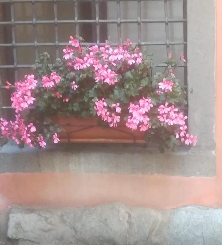 Casa Mirella Apartman Lovere Kültér fotó